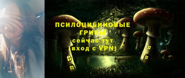 спайс Абаза