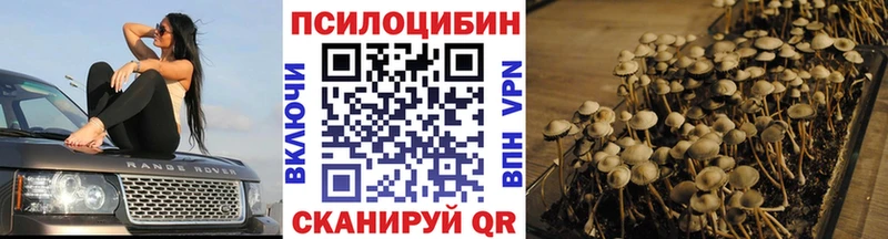 Псилоцибиновые грибы Psilocybine cubensis  сколько стоит  Петров Вал 